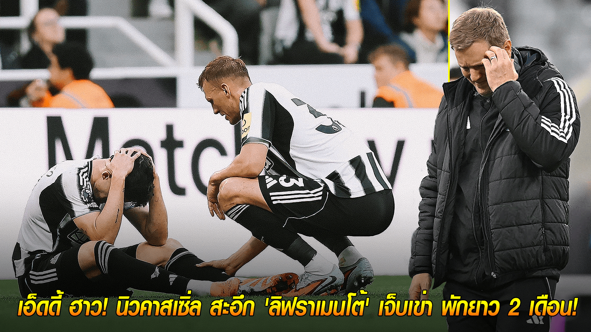 วันพุธ ที่ 1 ตุลาคม 2568 : ข่าวร้ายถึงเอ็ดดี้ ฮาว! นิวคาสเซิ่ล สะอึก 'ลิฟราเมนโต้' เจ็บเข่า พักยาว 2 เดือน! 